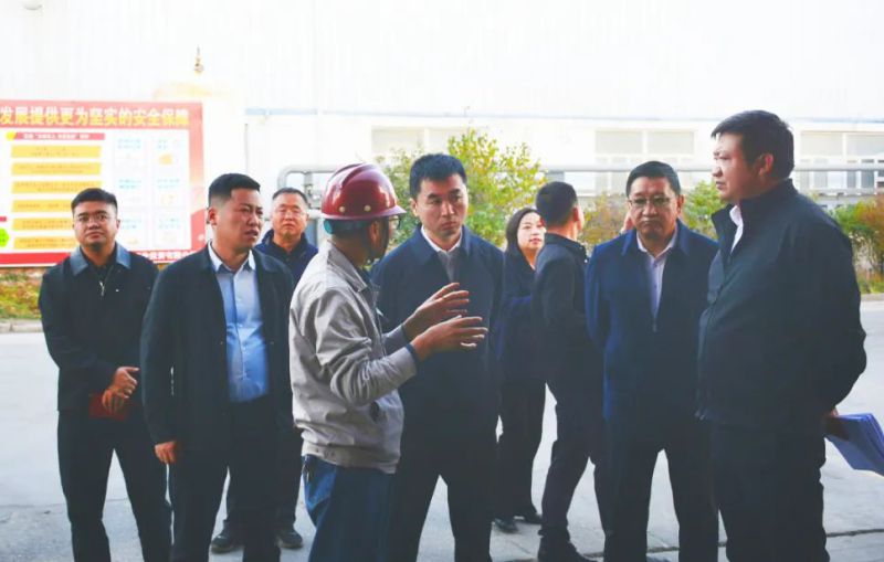 大通縣委副書記、縣長馬明旭一行蒞臨工投公司調(diào)研指導(dǎo)