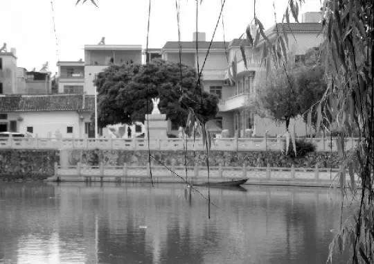 老鄉(xiāng)眼里的李河君：陌生富豪，夫人助其發(fā)財(cái)