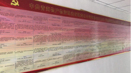 物產(chǎn)配送公司黨委&ldquo;黨的建設(shè)重點(diǎn)強(qiáng)化年&rdquo;活動(dòng)2018年工作任務(wù)、組織保障具體化